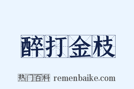 醉打金枝是什么意思的图片